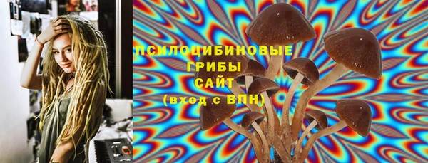 apvp Абинск