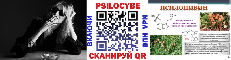 mega tor  Алзамай  Галлюциногенные грибы Cubensis  сколько стоит 